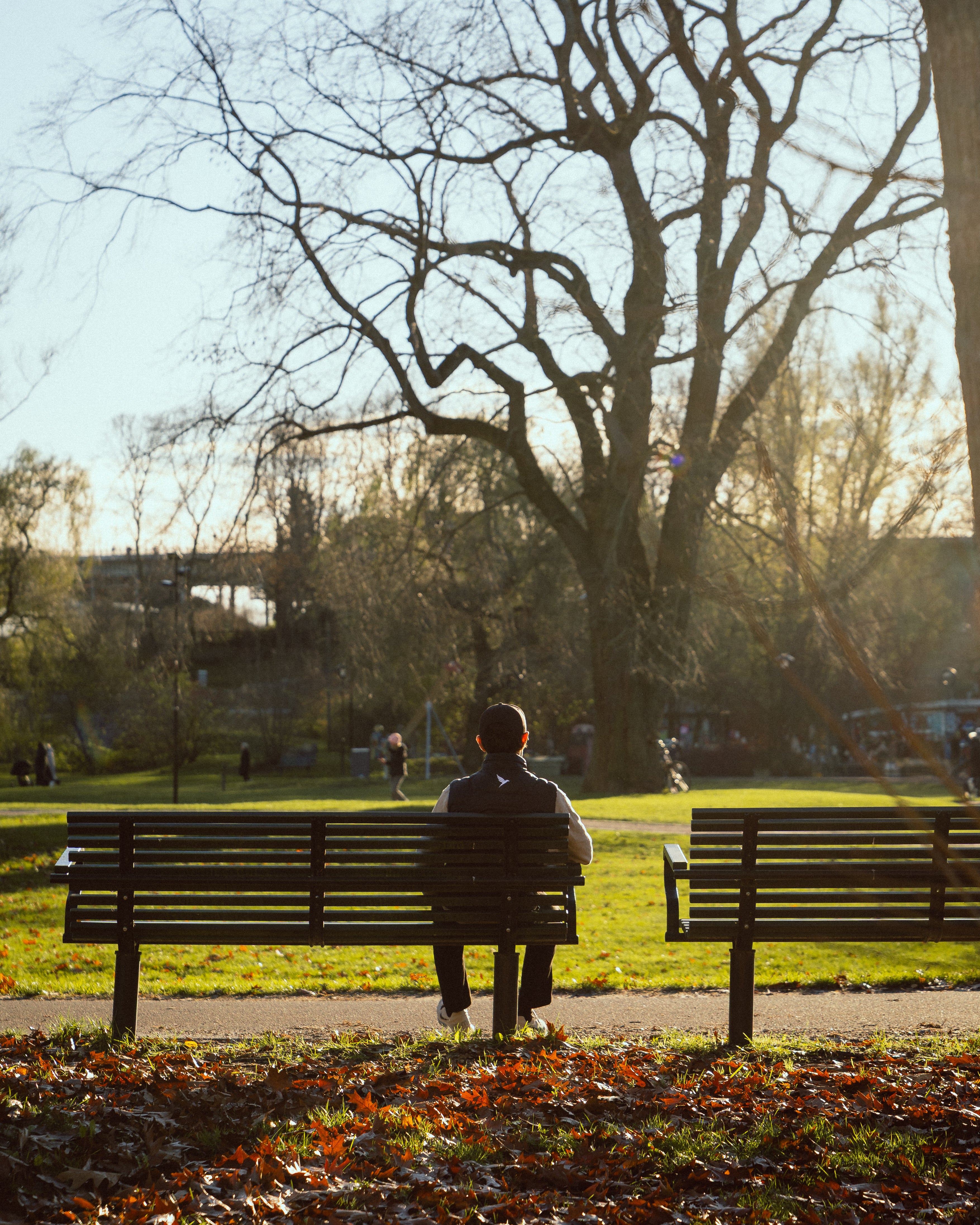 Person sitting on a bench in a park with trees and grass