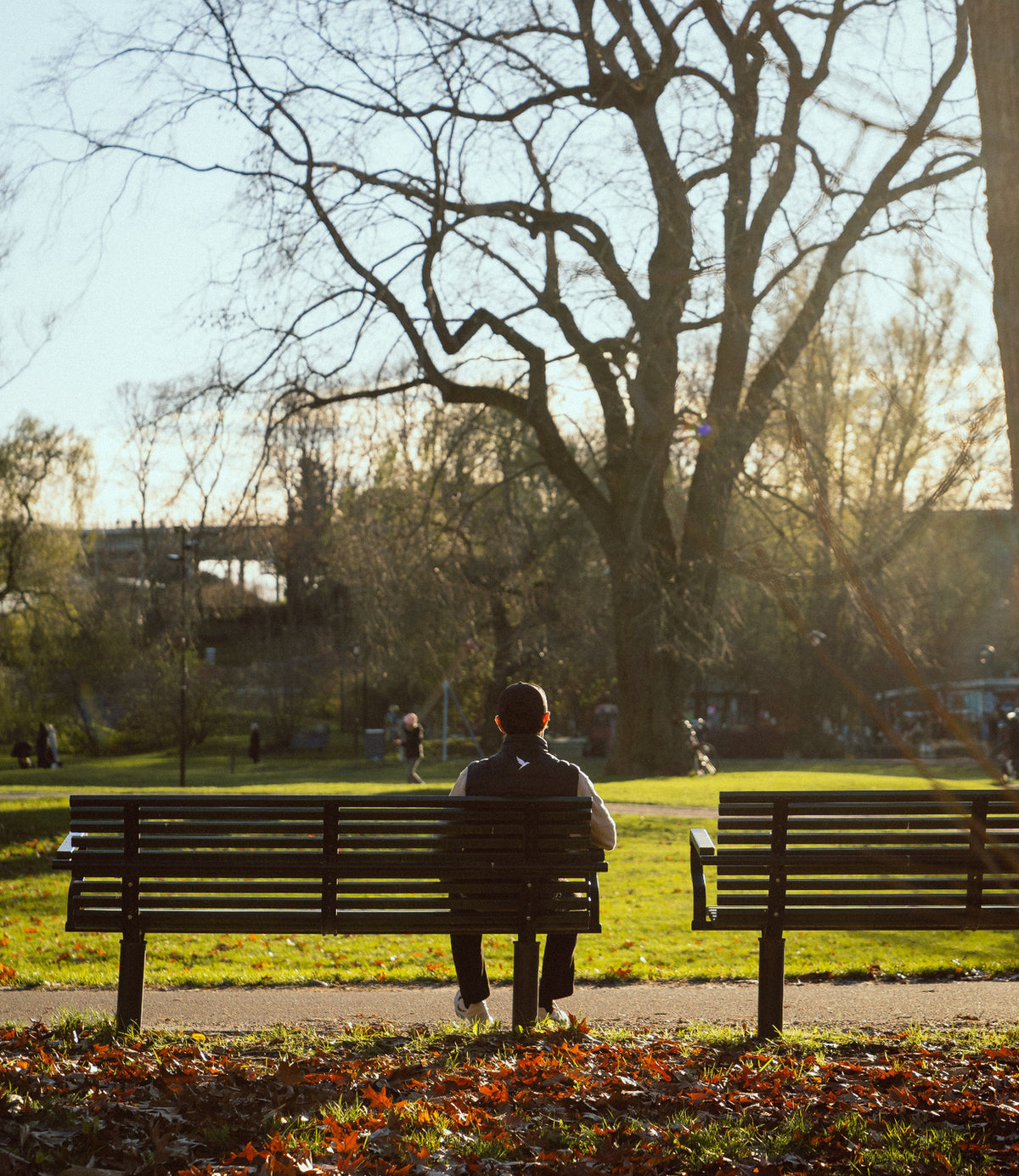 A person sits on a wooden park bench facing a large tree in a sunlit park, with another bench and a grassy field in the background.